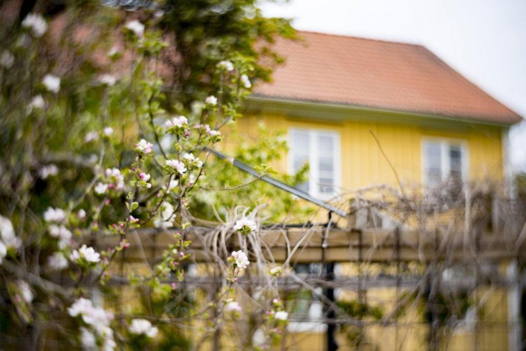 Vaestervik Rum Och Stugor Eksteriør bilde